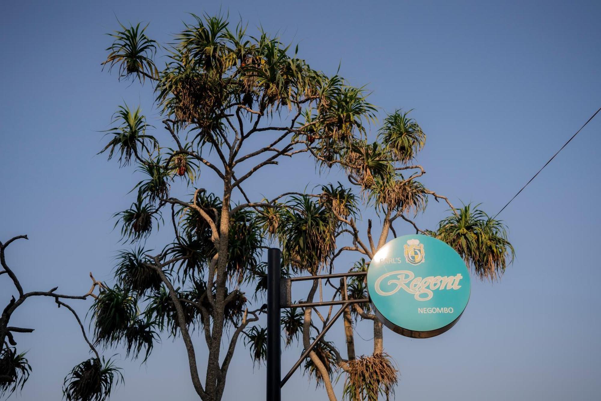 Earl'S Regent Negombo Hotel Екстериор снимка
